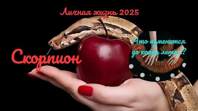 ️️скорпион️личная жизнь до конца лета 2025как изменится ваша жизнь..? переменыtarò ispirazione ️️скорпион️личная жизнь до конца лета 2025как изменится ваша жизнь..? переменыtarò ispirazione