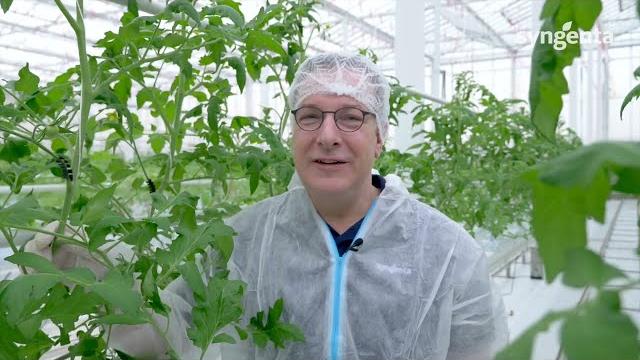 Tobrfv research yields results Tobrfv research yields results