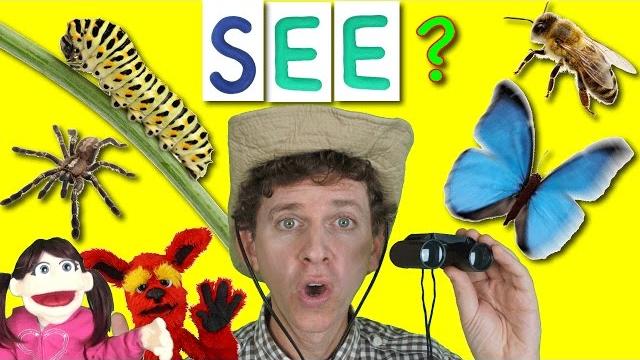 What do you see? song | bugs and insects | learn english kids What do you see? song | bugs and insects | learn english kids