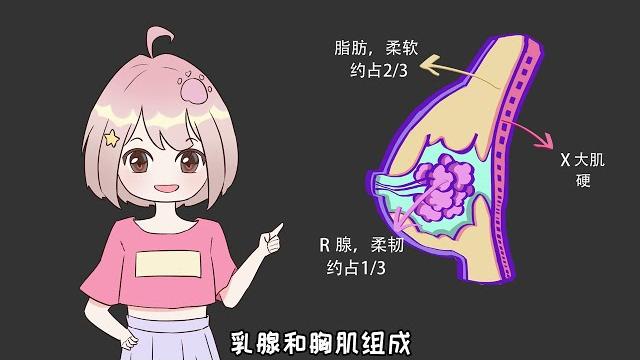 女生的胸真的越揉越大吗? 女生的胸真的越揉越大吗?