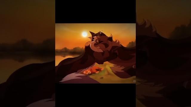 Коты-воители|| ежевичная звезда|| #warriorcats #котывоители #эдит #кв #ежевика #ежевичнаязвезда Коты-воители|| ежевичная звезда|| #warriorcats #котывоители #эдит #кв #ежевика #ежевичнаязвезда