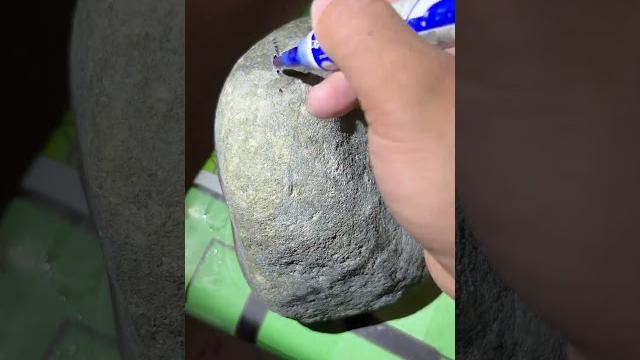 晟世珠寶集採購、銷售、加工、設計於一體,翡翠直播(全球可快遞),記得點訂閱line:myzb8888,(微信)w15368676731#玉 #珠寶 #翡翠 #翡翠原石 #熱門 晟世珠寶集採購、銷售、加工、設計於一體,翡翠直播(全球可快遞),記得點訂閱line:myzb8888,(微信)w15368676731#玉 #珠寶 #翡翠 #翡翠原石 #熱門