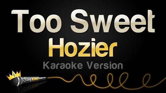 Hozier - too sweet (karaoke version) Hozier - too sweet (karaoke version)