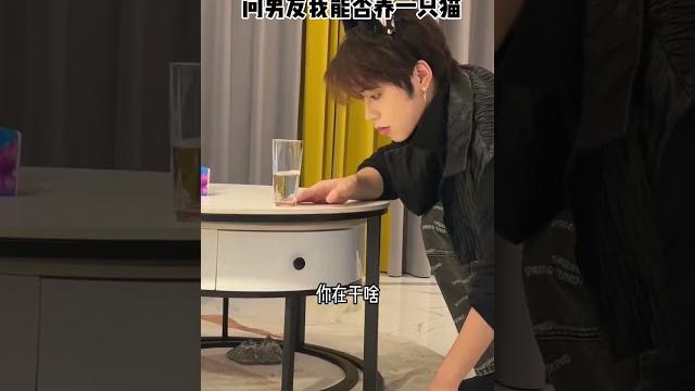 孟西 - 问男友我能否养一只猫 孟西 - 问男友我能否养一只猫