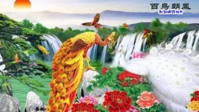 李愛綺-只有你一人 台語歌詞標誌+字幕版c 李愛綺-只有你一人 台語歌詞標誌+字幕版c