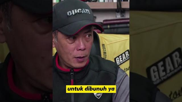 Bangsa viking Bangsa viking