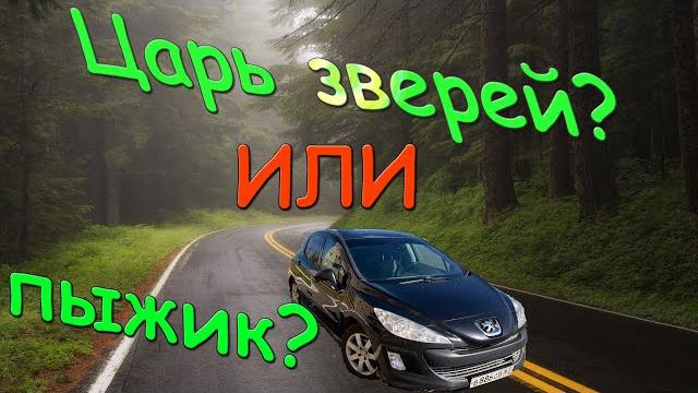 Peugeot 308 обзор. пежо 308 как с ним жить. Peugeot 308 обзор. пежо 308 как с ним жить.
