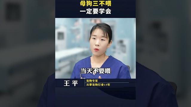母狗三不喂一定要学会 养狗经验分享 科学养宠攻略 狗是人类最忠诚的朋友 养狗人 新手养狗 母狗三不喂一定要学会 养狗经验分享 科学养宠攻略 狗是人类最忠诚的朋友 养狗人 新手养狗