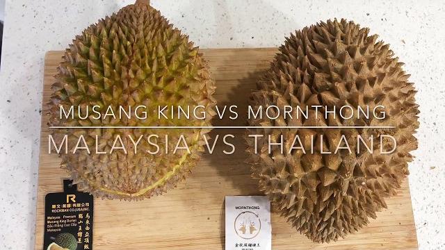 Durian comparison taste test mornthong vs musang king Durian comparison taste test mornthong vs musang king