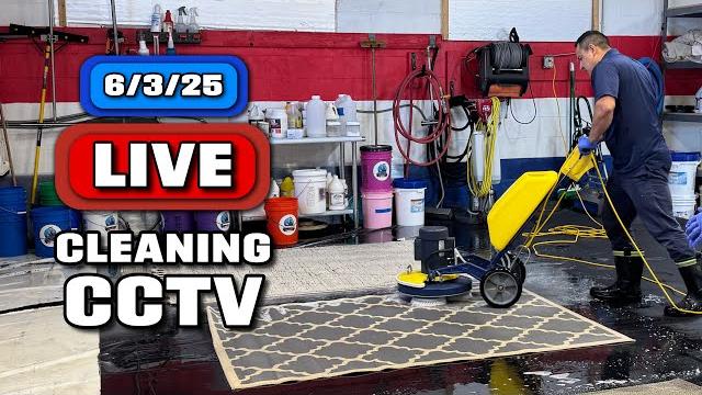 Live rug cleaning! #cleanwithme #rugwashing #dirty Live rug cleaning! #cleanwithme #rugwashing #dirty