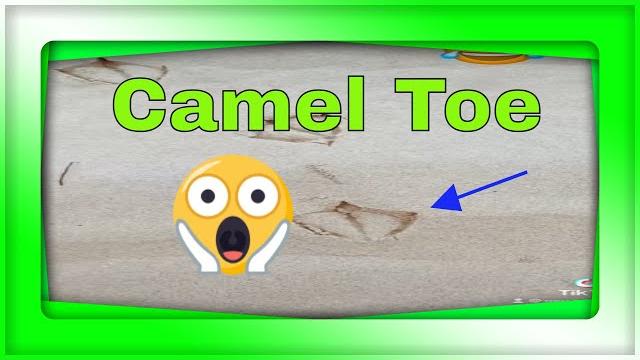 Let me see the camel toe - short video Let me see the camel toe - short video