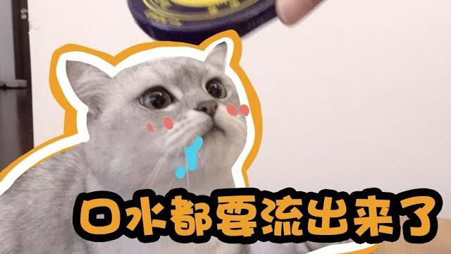臭袜子、臭豆腐、榴莲、鲱鱼罐头,居然东西越臭猫咪越爱吃?! 臭袜子、臭豆腐、榴莲、鲱鱼罐头,居然东西越臭猫咪越爱吃?!