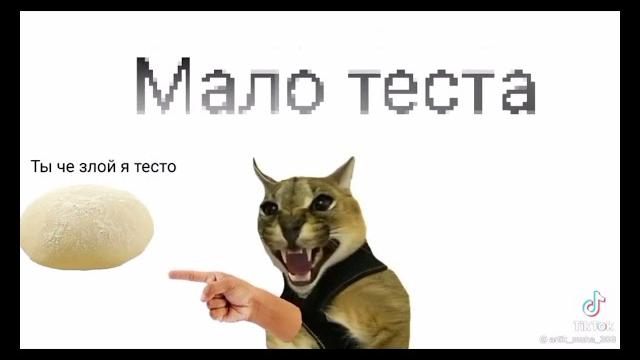 Подборка видео про шлёпу из тт 1# Подборка видео про шлёпу из тт 1#