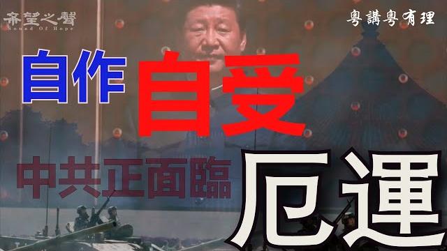 【粵講粵有理】中共為什麽要放黎智英﹑周庭等? 為什麽美衛生部長訪台讓中共嚇破膽? 【粵講粵有理】中共為什麽要放黎智英﹑周庭等? 為什麽美衛生部長訪台讓中共嚇破膽?