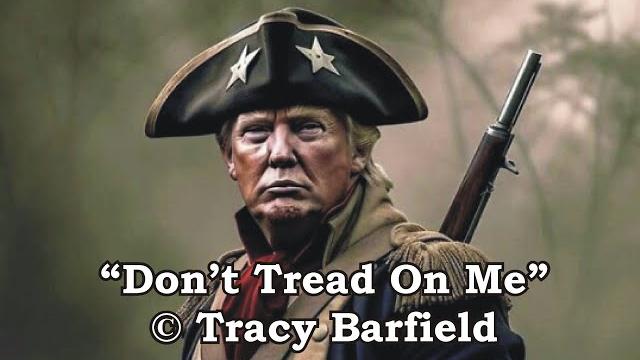 "don't tread on me" song!!! trump maga anthem!! "don't tread on me" song!!! trump maga anthem!!