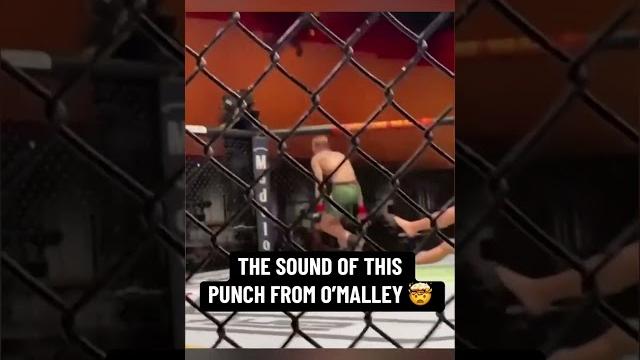 The sound of this punch (via @ufc/tt) The sound of this punch (via @ufc/tt)