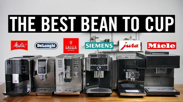 The best bean to cup The best bean to cup