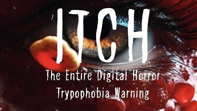 Itch the entire digital horror series (trypophobia warning) Itch the entire digital horror series (trypophobia warning)