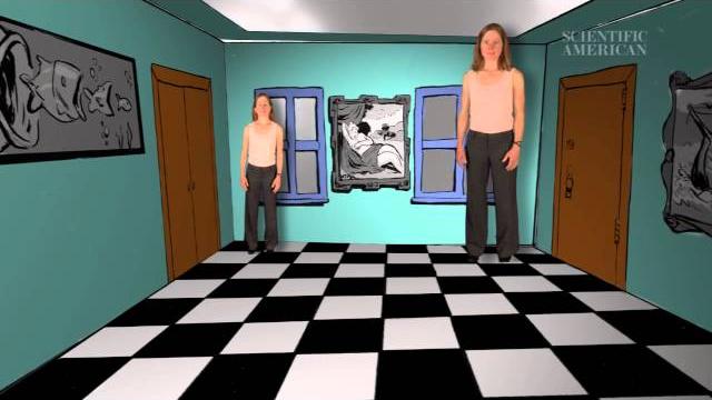 What is the ames illusion? - instant egghead #23 What is the ames illusion? - instant egghead #23