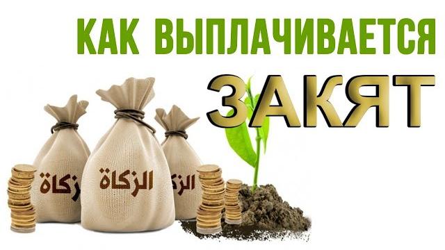 Все, что нужно знать о закяте | время покаяния Все, что нужно знать о закяте | время покаяния