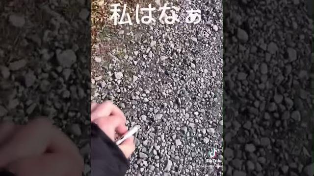 【衝撃】siriを怒らせるとこうなる。 【衝撃】siriを怒らせるとこうなる。