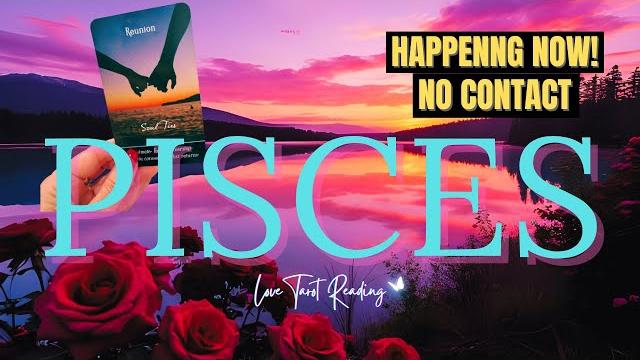 ️ pisces contact? thoughts, feelings, actions, intentions #pisces #tarot #soulmate #piscestarot ️ pisces contact? thoughts, feelings, actions, intentions #pisces #tarot #soulmate #piscestarot