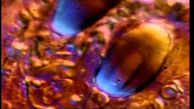 Теория невероятностей: коды узнвания Теория невероятностей: коды узнвания