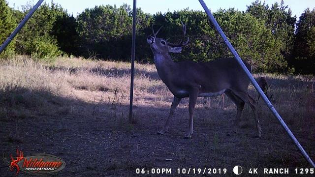 Hunt 4k 102419 Hunt 4k 102419