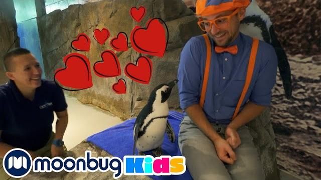 Блиппи идет в океанариум | @блиппи на русском - blippi | блиппи Блиппи идет в океанариум | @блиппи на русском - blippi | блиппи