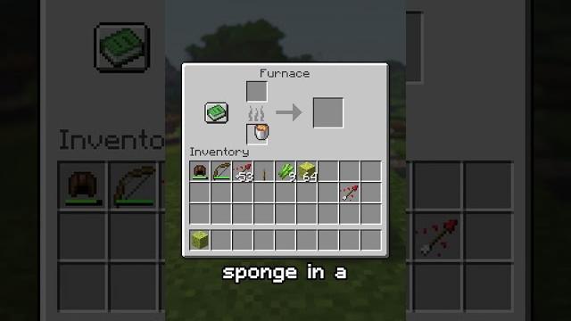 This minecraft sponge trick will surprise you! This minecraft sponge trick will surprise you!