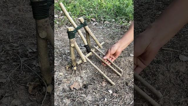 Trap in the forest! #survival #outdoors #bushcraft Trap in the forest! #survival #outdoors #bushcraft