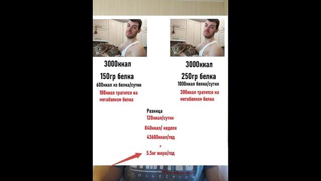 Почему на диете нужно много белка (одна из причин) Почему на диете нужно много белка (одна из причин)