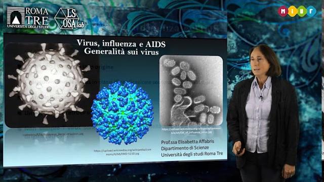 Che cosa sono i virus? Che cosa sono i virus?