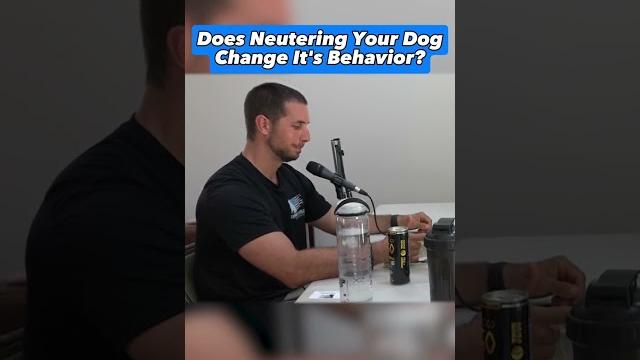 Does neutering your dog change it’s behavior? Does neutering your dog change it’s behavior?