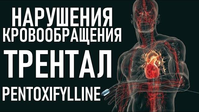 Пентоксифиллин повышает выживаемость | trental (pentoxifylline) indications, interactions Пентоксифиллин повышает выживаемость | trental (pentoxifylline) indications, interactions