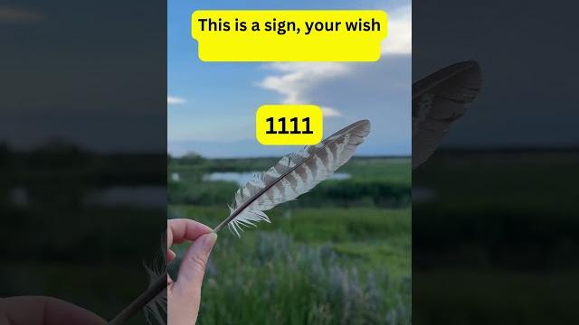 1111. this is a sign ur wish will come true ️ #shorts #tarotreading #youtube #manifestation 1111. this is a sign ur wish will come true ️ #shorts #tarotreading #youtube #manifestation