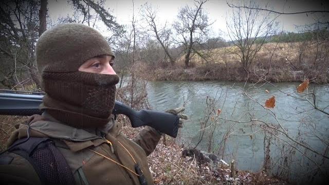Ходовая охота с курцхааром в ноябре! Ходовая охота с курцхааром в ноябре!