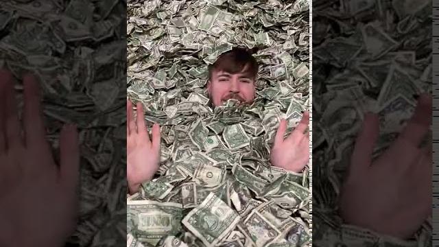 I filled a swimming pool with money! I filled a swimming pool with money!