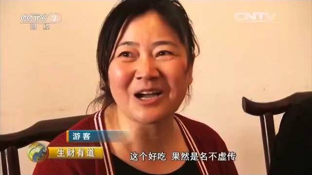 20160419 生财有道 高铁开启新财路——走进安徽绩溪 20160419 生财有道 高铁开启新财路——走进安徽绩溪