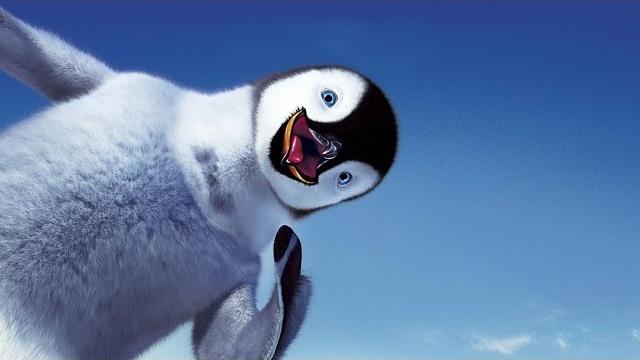 Смешные пингвины | funny penguins | подборка приколов Смешные пингвины | funny penguins | подборка приколов