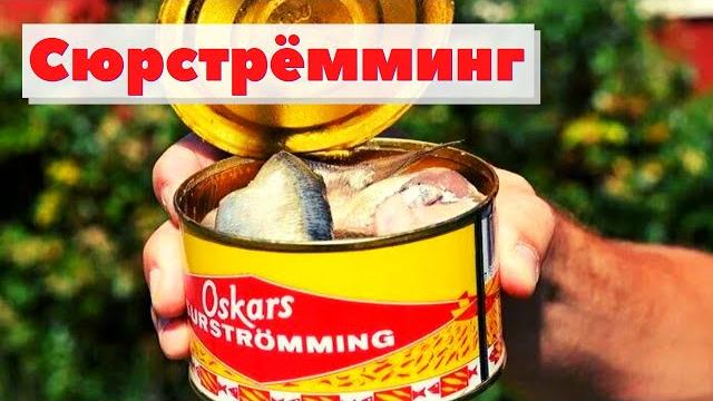 Surströmming - how it`s made Surströmming - how it`s made