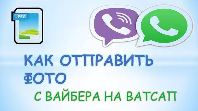 Как отправить фото с вайбера на ватсап Как отправить фото с вайбера на ватсап