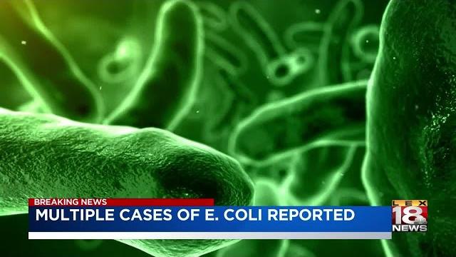 Multiple cases of e. coli reported Multiple cases of e. coli reported