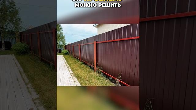 Живая изгородь для розы сябитовой - все секреты! Живая изгородь для розы сябитовой - все секреты!