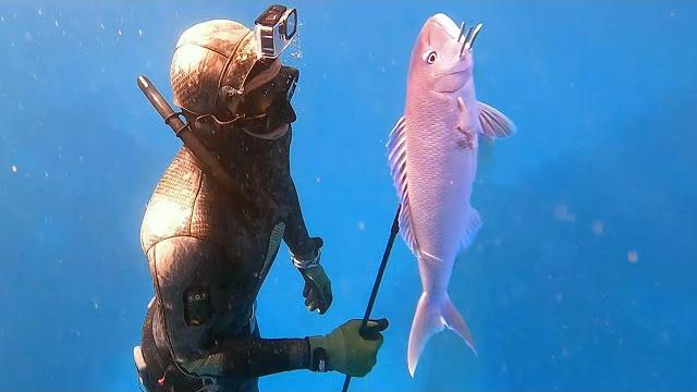Camping mish for fish!! - spearfishing hawaii Camping mish for fish!! - spearfishing hawaii