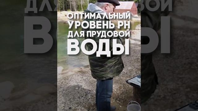 Оптимальный уровень ph для прудовой воды Оптимальный уровень ph для прудовой воды