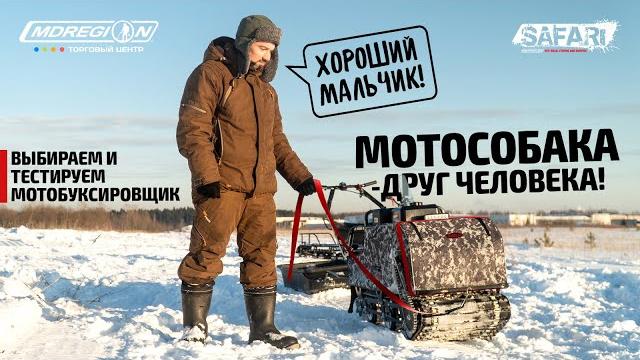 Как выбрать мотособаку? тест "koira богатырь" Как выбрать мотособаку? тест "koira богатырь"