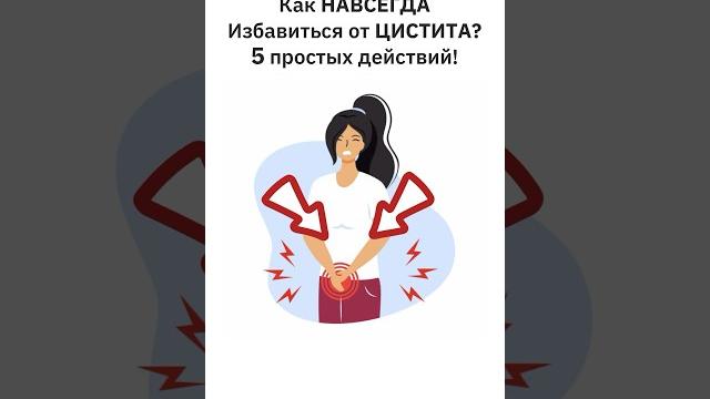 Как навсегда избавиться от цистита? лечение цистита #цистит #урология #анатомия #уролог #врач Как навсегда избавиться от цистита? лечение цистита #цистит #урология #анатомия #уролог #врач