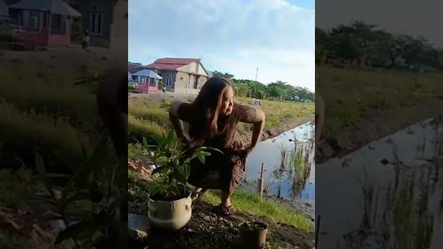 Kebelet, pipis sembarangan Kebelet, pipis sembarangan