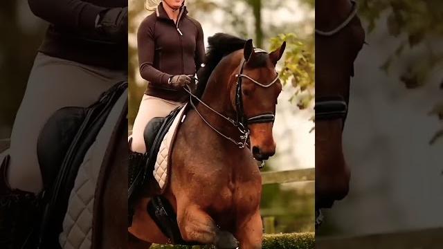 У нас кончается матешка) У нас кончается матешка)